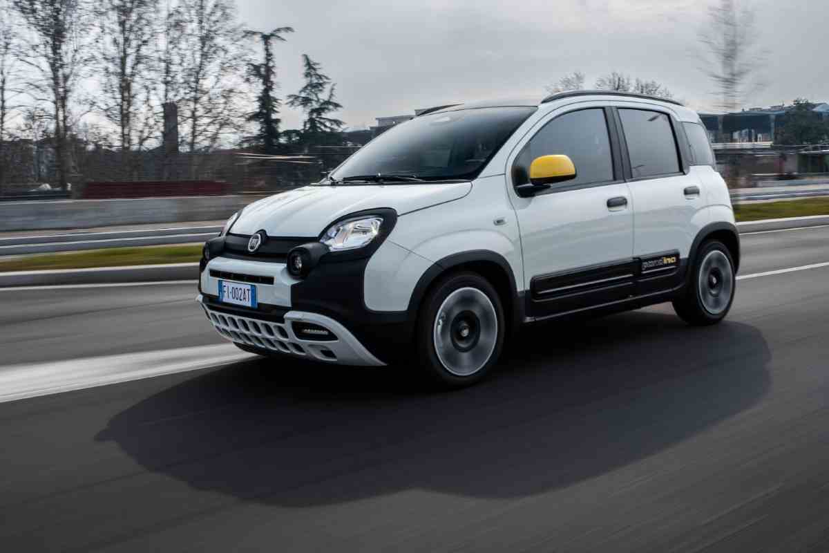 fiat panda primato record