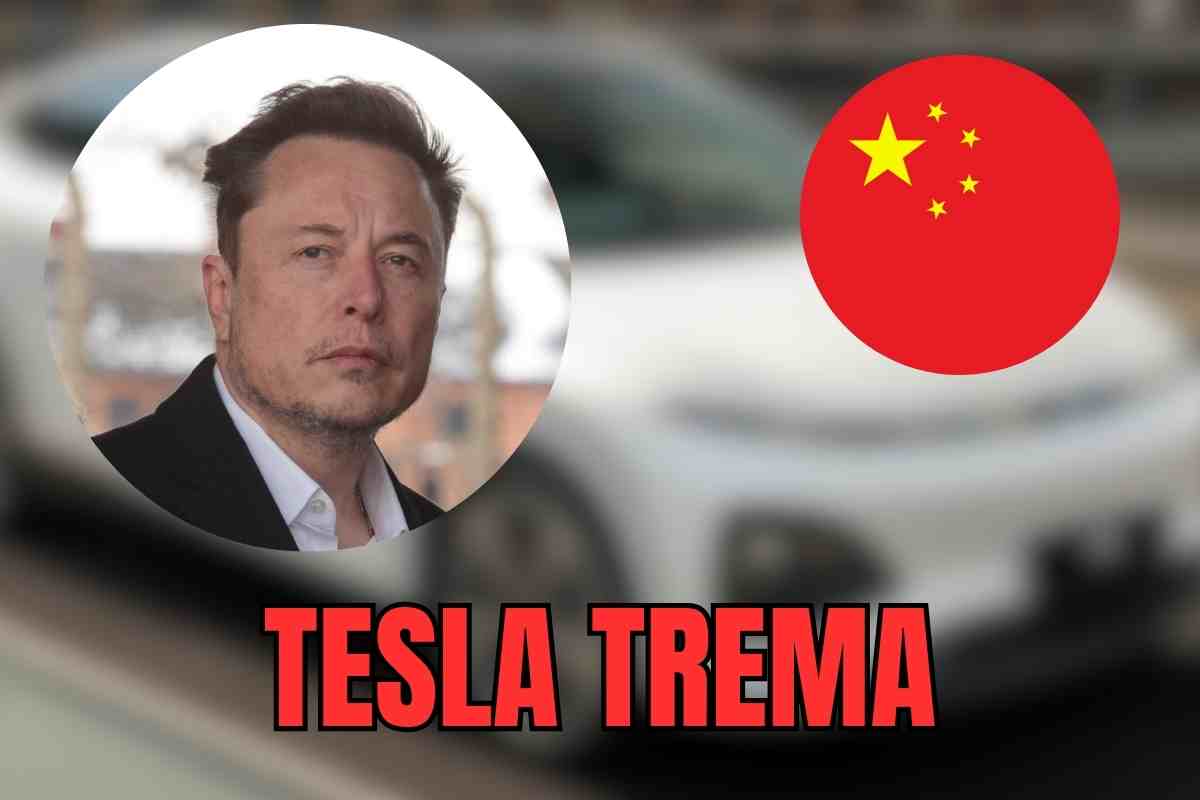 sportiva cinese tesla costo