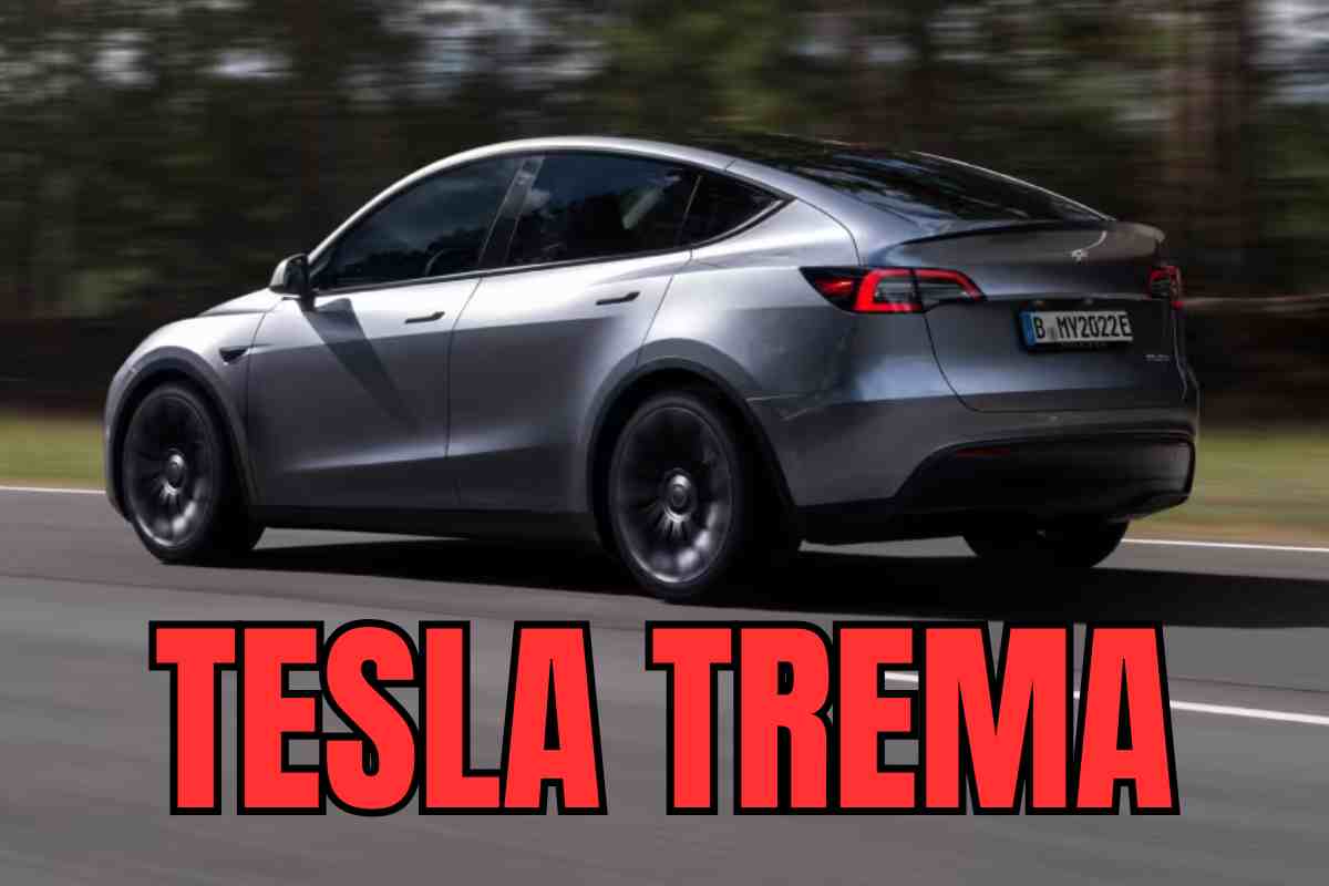 tesla altro che model y suv colosso elettronica