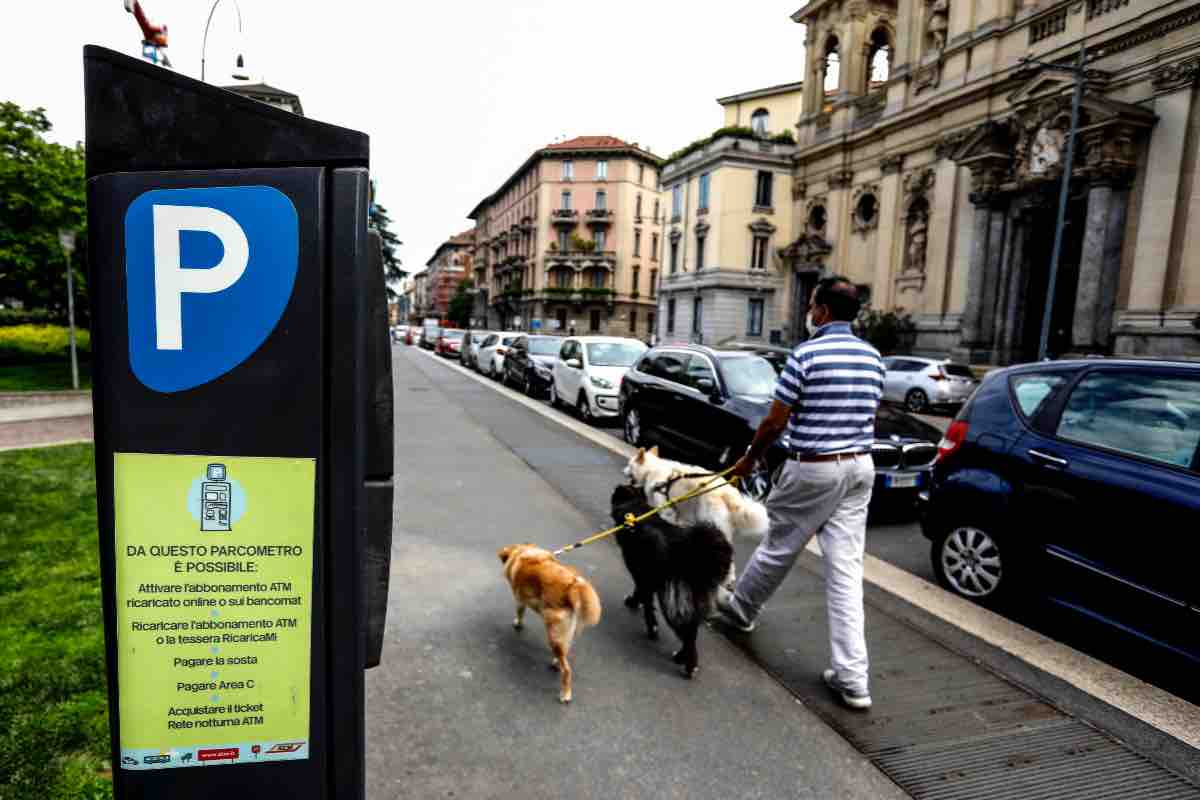 Parcheggio gratuito strisce blu quali auto