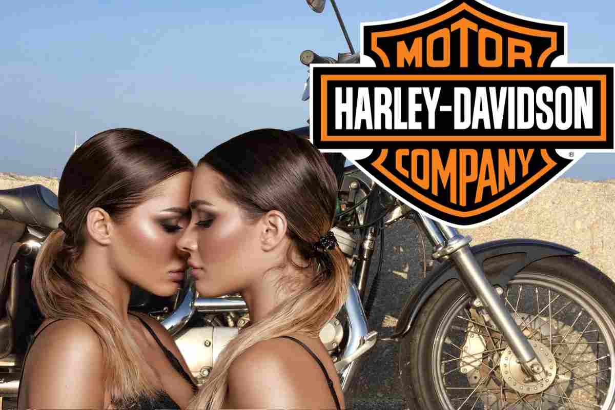 Arriva il clone della Harley Davidson