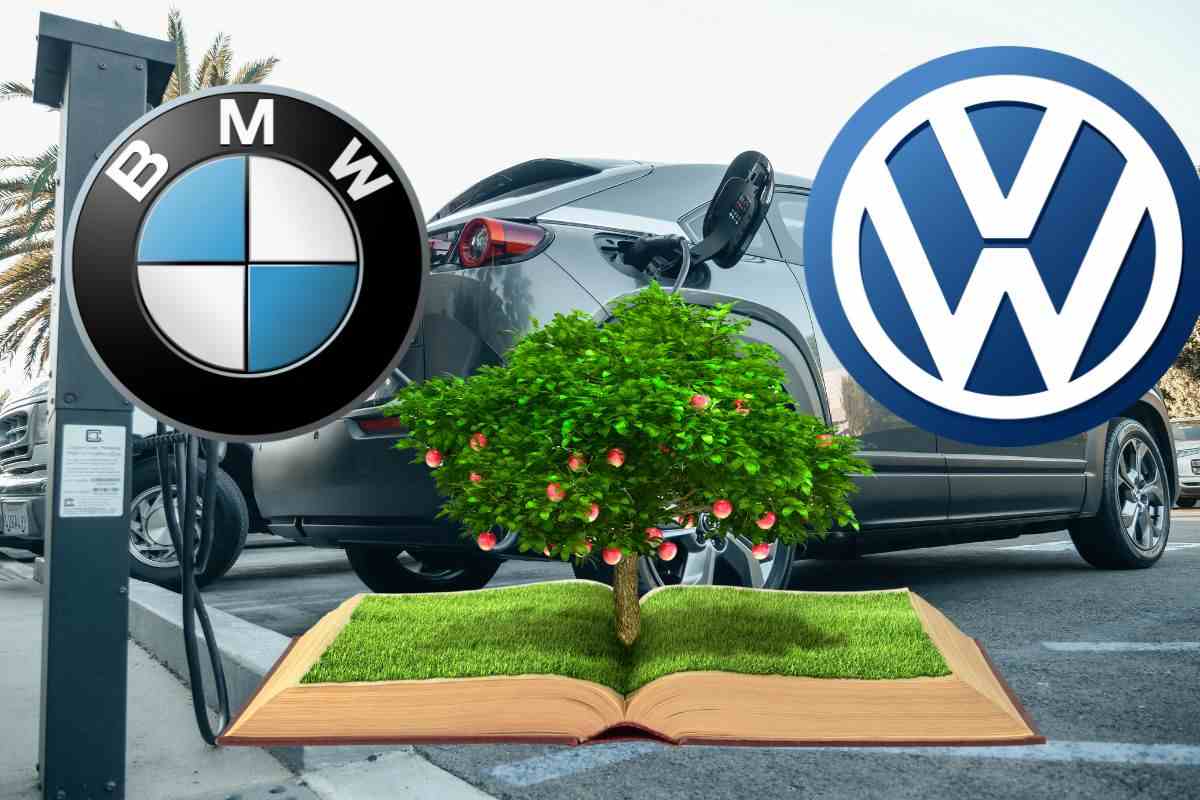 BMW Volkswagen