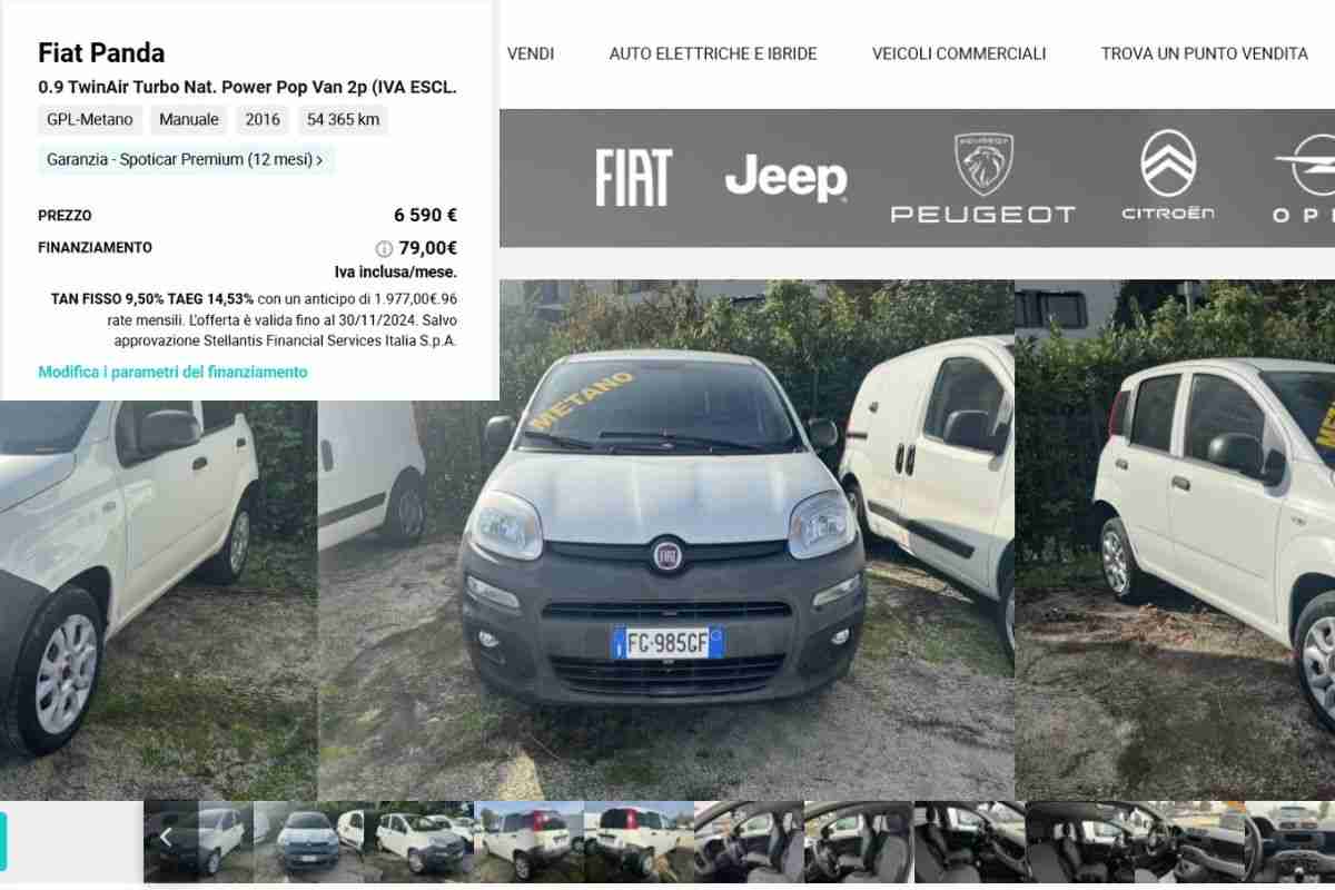 FIAT Panda ad appena 6.500 euro? C'è davvero sul sito ufficiale FIAT: come averla a questo prezzo