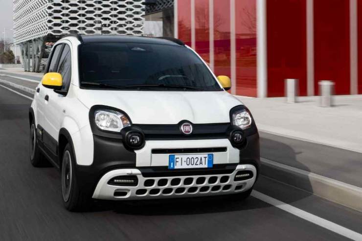 FIAT Panda che lotta